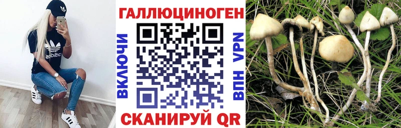 OMG tor  Электросталь  Псилоцибиновые грибы Cubensis 